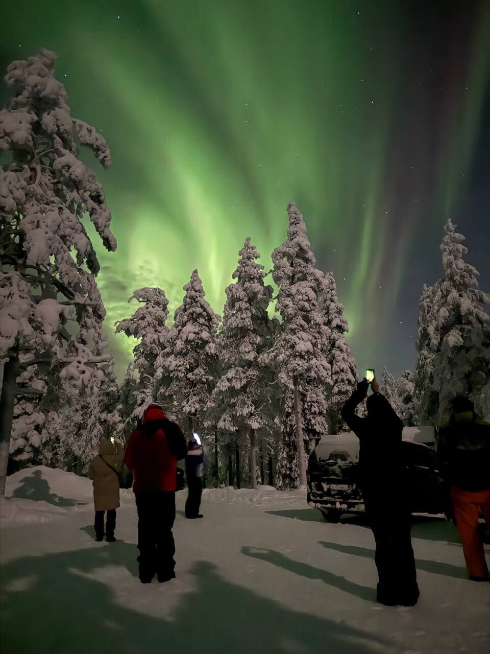 Gruppe beobachtet das Nordlicht über einer verschneiten Landschaft